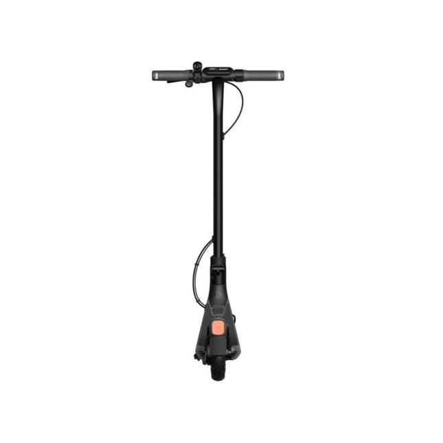Elskoter Segway E2 D Grå Mörkgrå 250 W