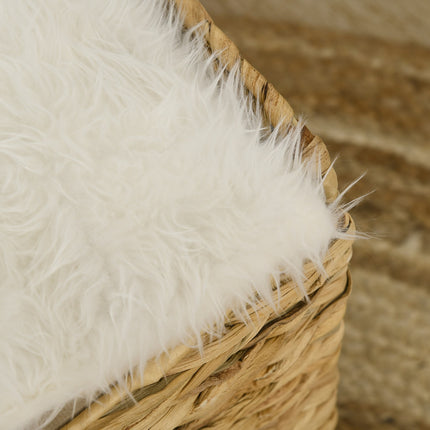 PAWROOM - Rat size cave with cushion, 2 levels for cats up to 5 kg