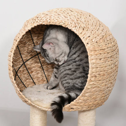 PAWROOM - Klösträd i MDF med sisal och koja, beige, 100 cm, D30-371