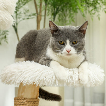 PAWROOM - Cat scratching post with play ball, beds, for cats <5 kg