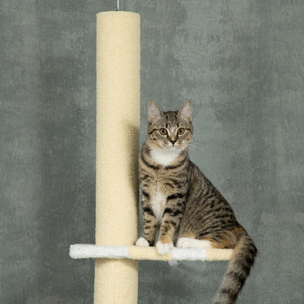 PAWROOM - Adjustable cat scratching post with play ball, 220-260 cm