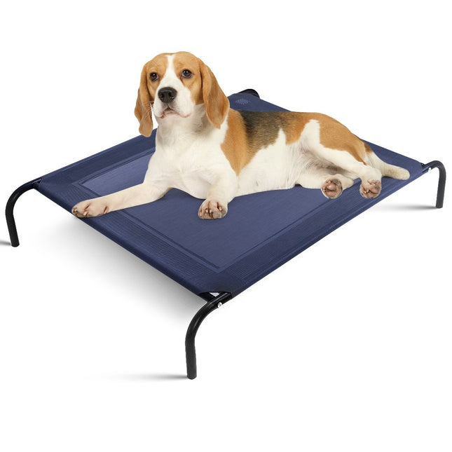 PAWROOM - Upphöjd hundsäng för hundens egen liggplats, grå, 110×80×18 cm