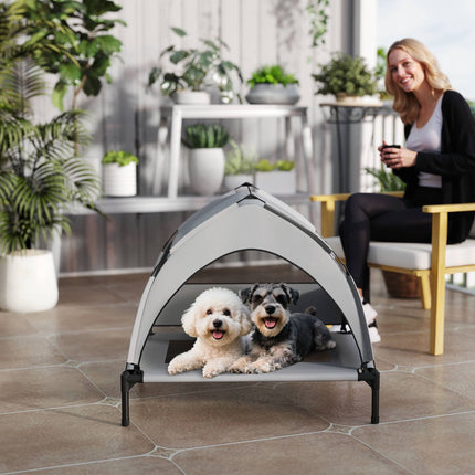 PAWROOM - Elevated Dog Bed with Canopy, Breathable Mesh, Portable