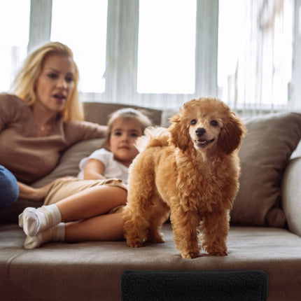 TASSORA - Hundtrappa för vägen upp till säng och soffa, 10025055_46