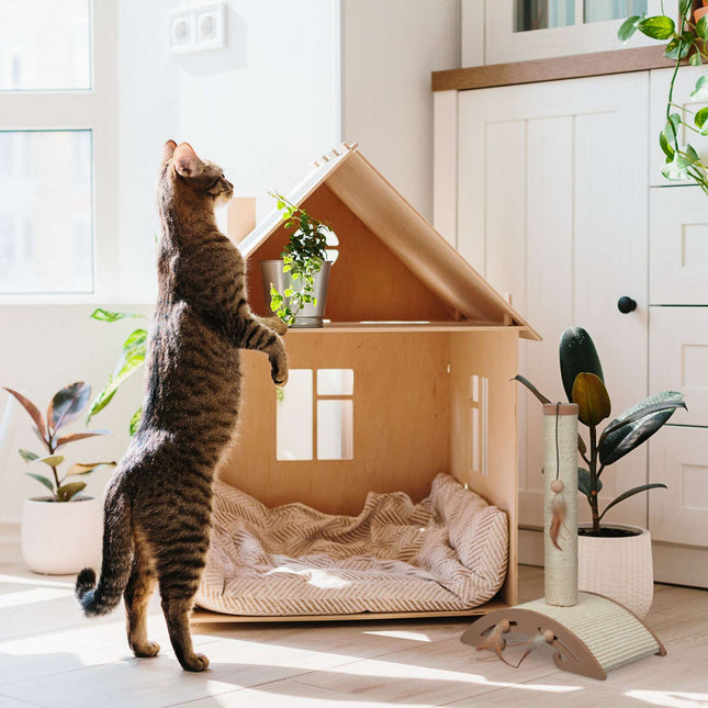 TASSORA - Klösmöbel med sisal för kattens klösstunder i hemmet