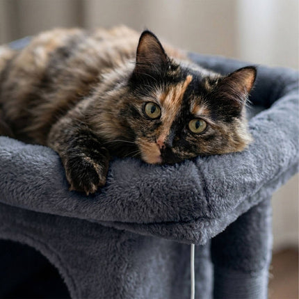 TASSORA - Cat Tree with Cave & Platform, Dark Gray, 60 cm High