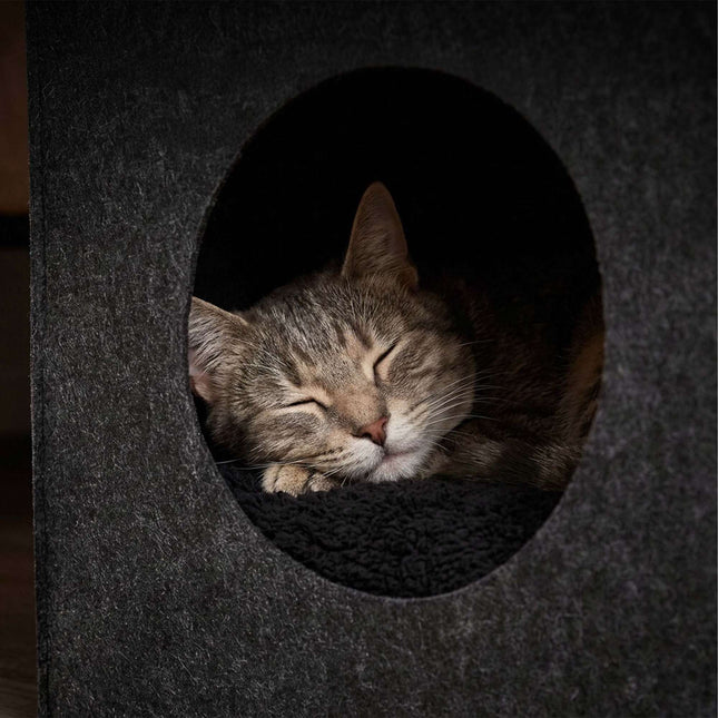 TASSORA - Felt Cat Cave Cube, Foldable Shelf Insert With Cushion