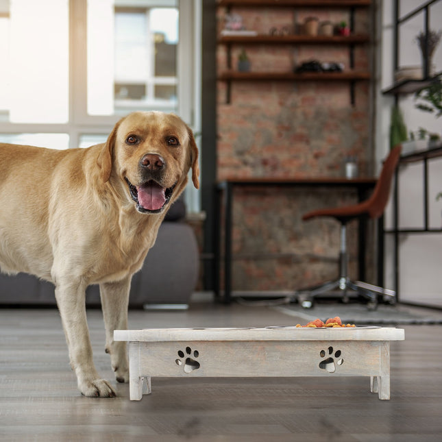 TASSORA - Elevated Dog Feeder with Bone-Shaped Stand, Stainless Steel Bowls