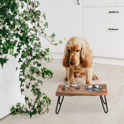 TASSORA - Raised XL dog bowl made from acacia wood